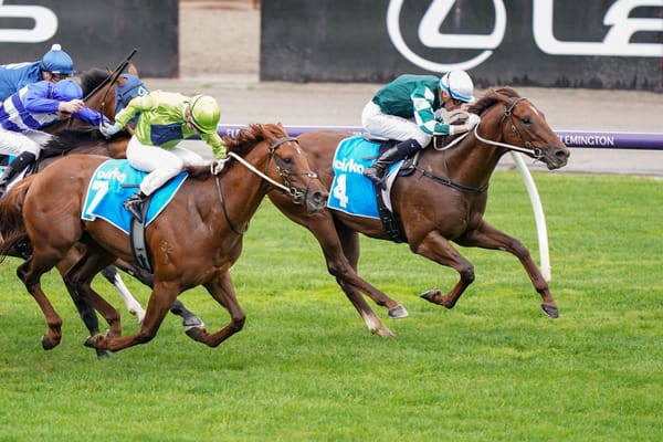First Settler makes 11 for Yulong