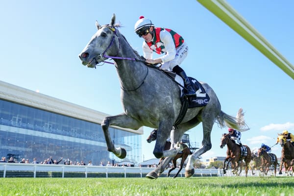 Sliding doors and Google Maps - an unlikely route to the South Australian Derby