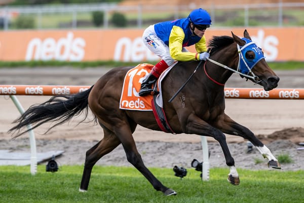 Straight Shorts - Thursday May 15 - Star additions to Magic Millions sale, Without A Fight retired, spring beckons for Biologics, NZB finalises weanling catalogue