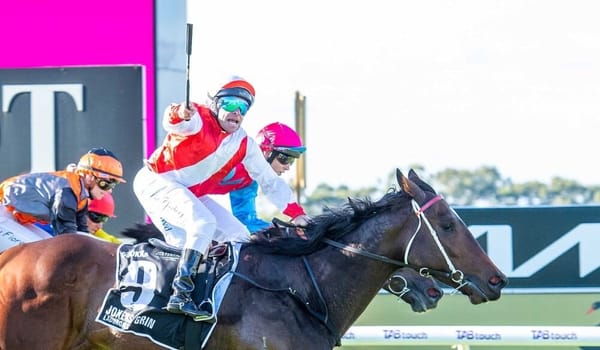 Straight Shorts - Thursday May 1 - Quokka in black-type move, I Am Invincible colt to stand in Victoria, jumps double for Duke Of Bedford, Maher trains Warrnambool Cup winner, Flutter continues expansion