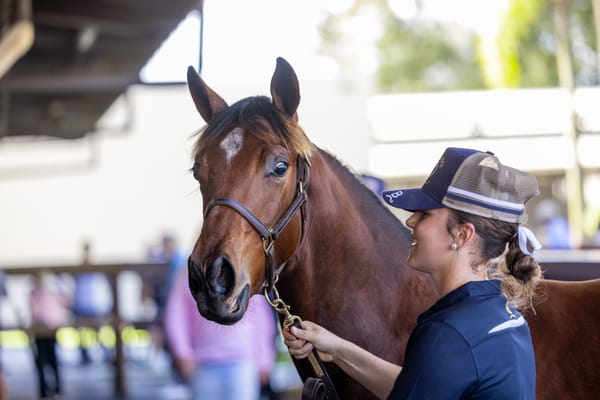Run The Numbers - The wisdom of buying weanlings