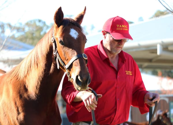 Trading places - Tamac’s Mark Taylor prepares for life after the farm