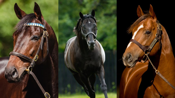 Run The Numbers – Average Australian service fee hits record as top-end soars