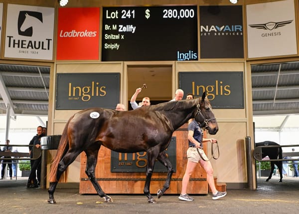 Straight Shorts - Friday May 9 - Snitzel mare sells for $280,000, Extreme Choice share up for auction, Tabcorp surges on ASX, NSW trainer suspended over welfare