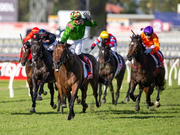 Run The Numbers - A Cool reminder of Zabeel’s influence