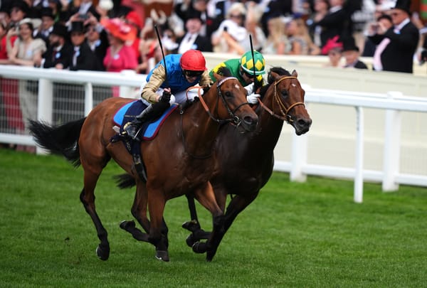 How’s ’Zat - Group 1 case for Golden Eagle grows after eighth elite winner from 2024 edition