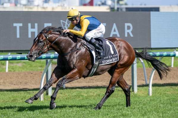 Storm Boy to stud - Coolmore calls time on Justify colt’s international campaign