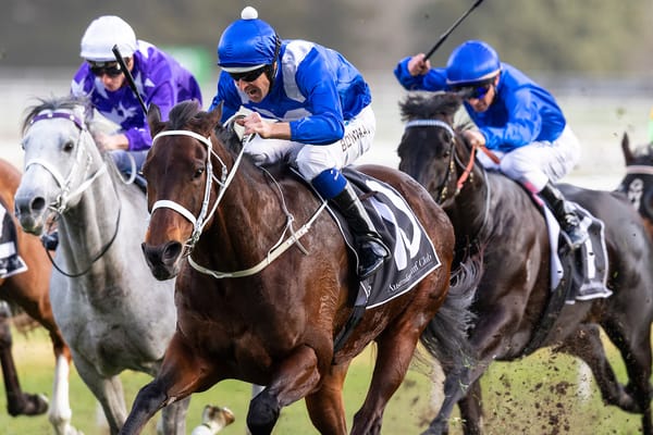 Straight Shorts - Tuesday June 24 - 'Legend' status for Winx and Black Caviar, protest decides Wyong 2YO race, high hopes for Ancient Spirit juvenile,  ACMA targets influencers