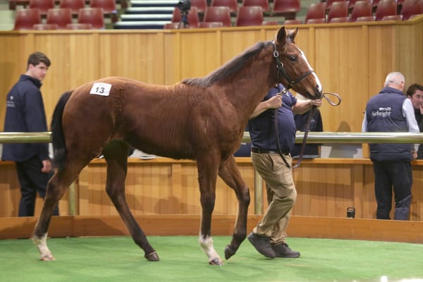 Straight Shorts - Thursday June 26 - Per Incanto colt tops NZ weanling sale, Everest slot for Mulberry Racing, Lane in WA Hall of Fame recognition, betting tax shortfall for ACT