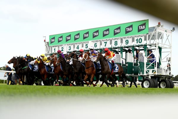 NSW Trainers Association in clear over charity lunch complaint