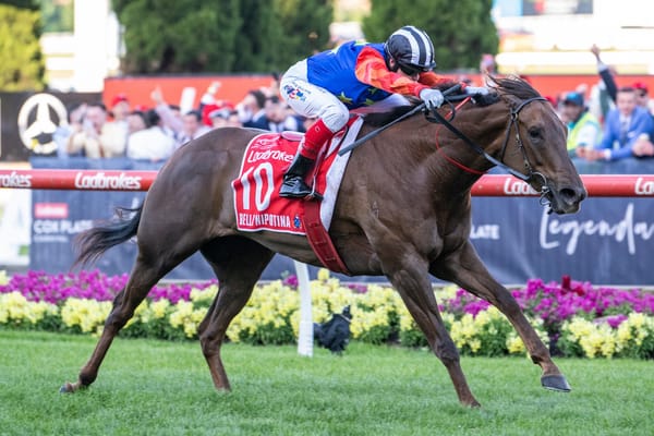 Zoustar chosen as Bella Nipotina’s beau