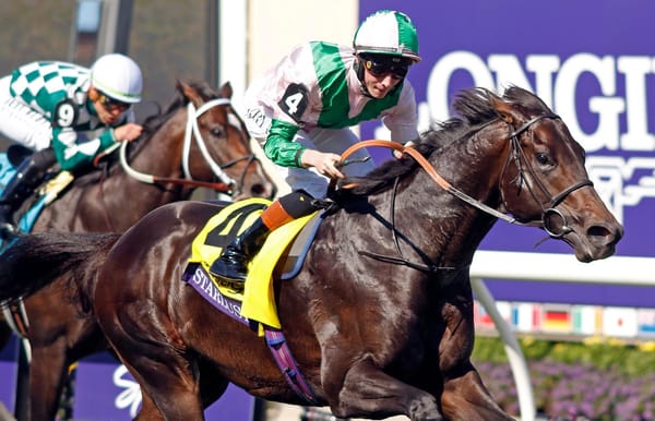 Riverstone bound - Grade 1 winner Starlust has run his last race