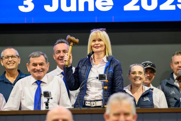 Written In The Stars - Val Hayward's Magic journey