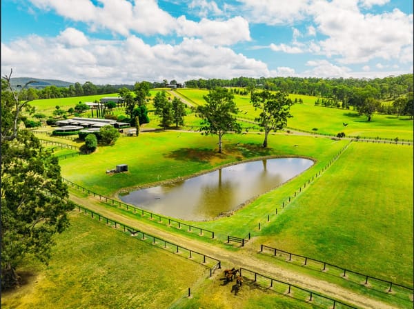 In his Element - new owner for farm which produced Hong Kong star Golden Sixty