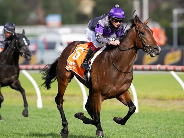 Caulfield Guineas winner Griff lands in Tasmania