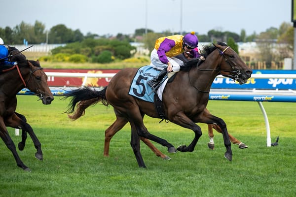 Ears to a profitable spring - McGaw flies flag for husband-and-wife training team