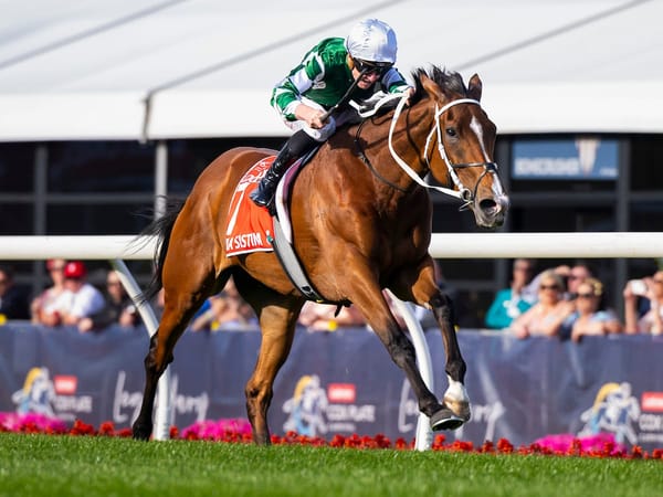 Finalists unveiled for Australian Racehorse of the Year