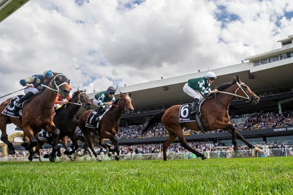 Via Sistina crowned Australian Racehorse of the Year