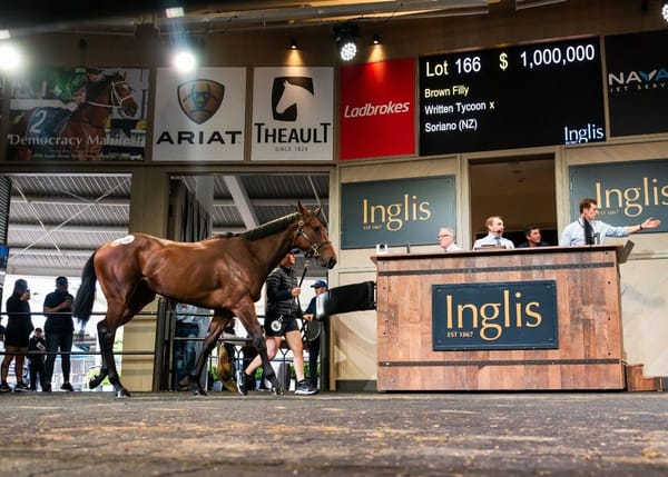 Inglis Ready for two-year-old sale after catalogue release
