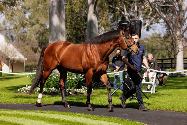 Run The Numbers – Is the first crop the deepest?