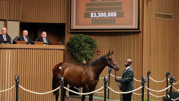 Mulberry Racing signs for Quality Road colt as Keeneland figures surge