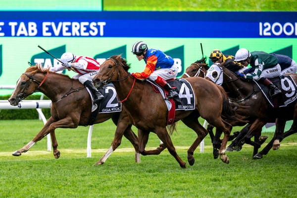 What does a 50-race Australian Group 1 calendar look like?