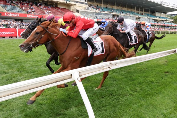 It runs in the family - a horses-for-courses clue to the Moir Stakes