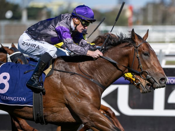 Caulfield Guineas winner’s home in welfare spotlight