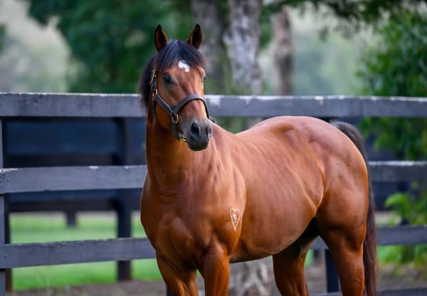 Home Affairs leads numbers of named juveniles