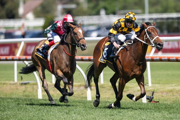 Joliestar secures slot for second crack at The Everest