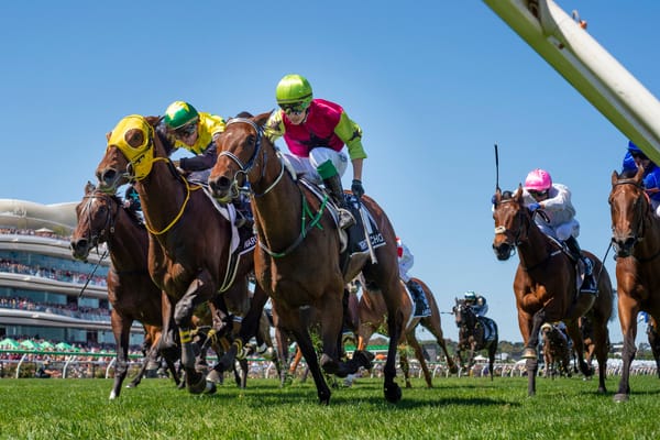 Mega-stables gang tackle Melbourne Cup nominations