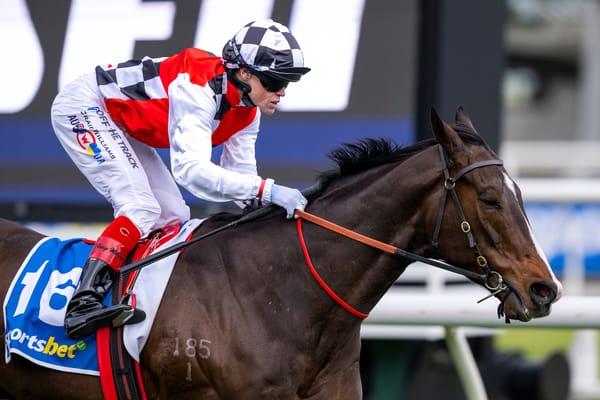 Run The Numbers – The beauty of the blue hen