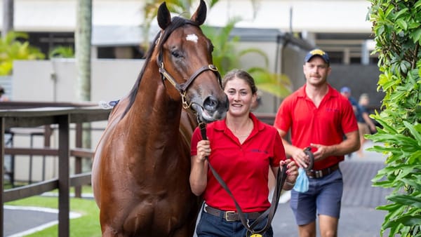Slipper winner Stay Inside to get jump on rivals in early trials