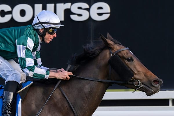 Moment of concern – Star mare’s spring campaign on hold for now after colic scare