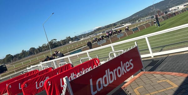 More stewarding troubles in Tasmanian racing