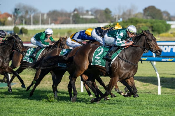 Yulong to have three horses in The Everest, but which three is the question